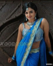 Vimala Raman Hot Stills 36