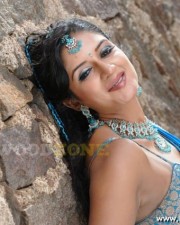 Vimala Raman Hot Stills 37