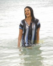 Vimala Raman Sexy Swimsuit Pictures 19