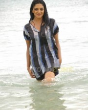 Vimala Raman Sexy Swimsuit Pictures 21