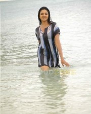 Vimala Raman Sexy Swimsuit Pictures 23