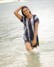 Vimala Raman Sexy Swimsuit Pictures 25