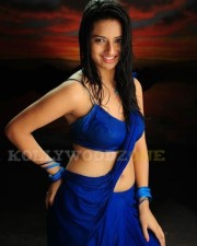 Hot Pictures Of Actress Isha Chawla 06