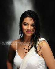 Hot Pictures Of Actress Isha Chawla 14