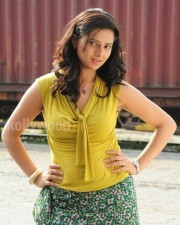 Isha Chawla Hot New Pictures 04