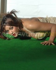 Mumaith Khan Hot Pictures 016