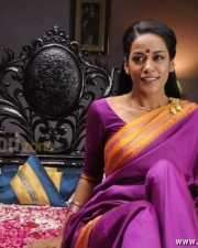 Mumaith Khan Spicy Saree Pictures 25