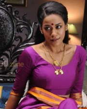 Mumaith Khan Spicy Saree Pictures 33