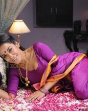 Mumaith Khan Spicy Saree Pictures 42