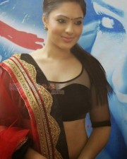 Nikesha Patel Spicy Sexy Pictures 01