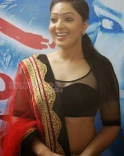 Nikesha Patel Spicy Sexy Pictures 02