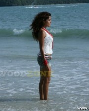 Piaa Bajpai In Goa Movie Stills 12