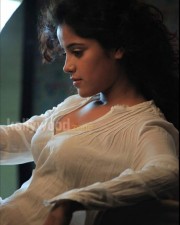 Piaa Bajpai Sexy Pictures 21