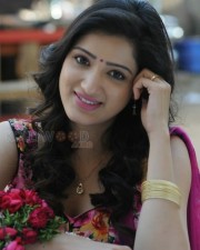 Rakshaka Bhatudu Heroine Richa Panai Photos 06