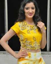 Richa Panai At Rakshaka Bhatudu Movie Trailer Launch Photos 03