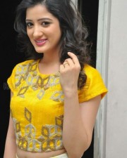 Richa Panai At Rakshaka Bhatudu Movie Trailer Launch Photos 07