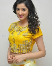 Richa Panai At Rakshaka Bhatudu Movie Trailer Launch Photos 14