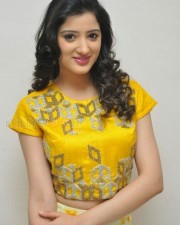 Richa Panai At Rakshaka Bhatudu Movie Trailer Launch Photos 16