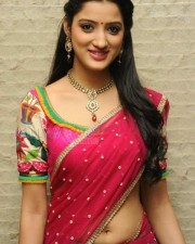 Richa Panai Sexy Half Saree Pictures 01