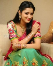 Richa Panai Sexy Half Saree Pictures 04