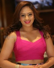 Telugu Actress Nikesha Patel Sexy Stills 15