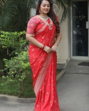 Tenant Actress Ester Noronha Glam Saree Photoshoot Pictures 08