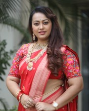 Tenant Actress Ester Noronha Glam Saree Photoshoot Pictures 14