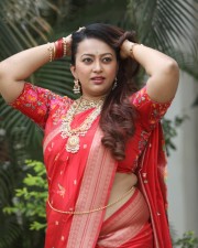 Tenant Actress Ester Noronha Glam Saree Photoshoot Pictures 17