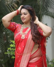 Tenant Actress Ester Noronha Glam Saree Photoshoot Pictures 19