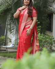 Tenant Actress Ester Noronha Glam Saree Photoshoot Pictures 20