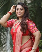 Tenant Actress Ester Noronha Glam Saree Photoshoot Pictures 22