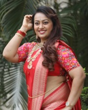 Tenant Actress Ester Noronha Glam Saree Photoshoot Pictures 23