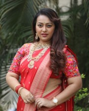 Tenant Actress Ester Noronha Glam Saree Photoshoot Pictures 24