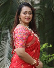 Tenant Actress Ester Noronha Glam Saree Photoshoot Pictures 26