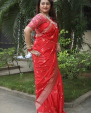 Tenant Actress Ester Noronha Glam Saree Photoshoot Pictures 27