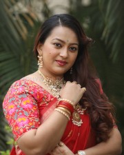 Tenant Actress Ester Noronha Glam Saree Photoshoot Pictures 36