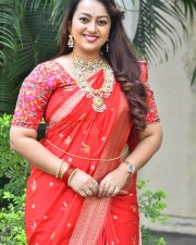 Tenant Actress Ester Noronha Glam Saree Photoshoot Pictures 40