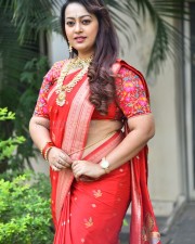 Tenant Actress Ester Noronha Glam Saree Photoshoot Pictures 45