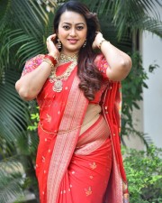 Tenant Actress Ester Noronha Glam Saree Photoshoot Pictures 48