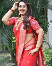 Tenant Actress Ester Noronha Glam Saree Photoshoot Pictures 51