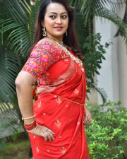 Tenant Actress Ester Noronha Glam Saree Photoshoot Pictures 53