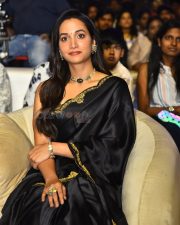 Actress Srinidhi Shetty at HIT 3 Movie Pre Release Event Pictures 19