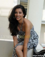 Actress Hamsa Nandhini Hot Pics 42