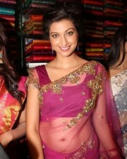 Actress Hamsa Nandhini Sexy Pictures 30