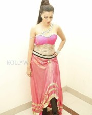 Actress Hamsa Nandini Spicy Dance Pictures 18