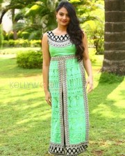 Actress Nikitha Narayan At Mellagaa Thattindi Manasu Talupu Press Meet Pictures 01