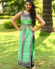 Actress Nikitha Narayan At Mellagaa Thattindi Manasu Talupu Press Meet Pictures 22