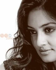 Actress Nikitha Narayan Sexy Photos 13