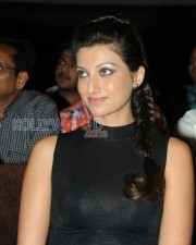 Hamsa Nandhini Pictures 03