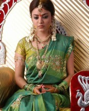 Sexy Actress Nisha Agarwal Photos 14